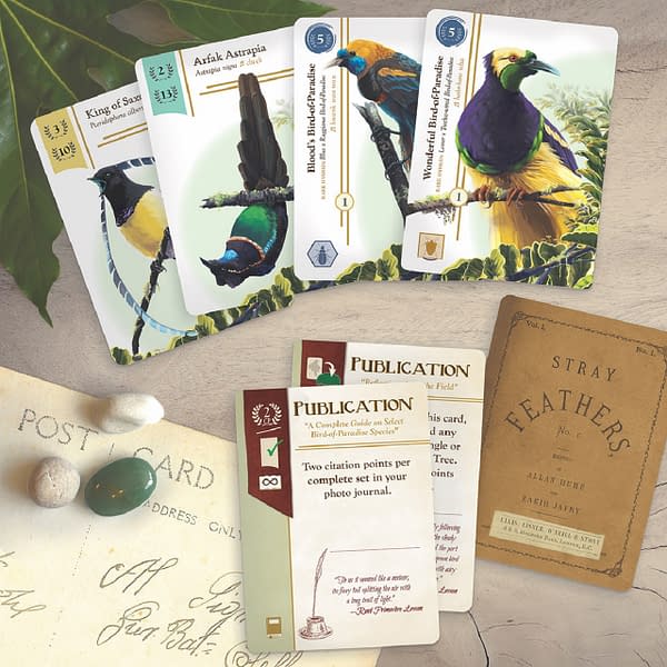 Renegade Game Studios Announces New Board Game Birdwatcher