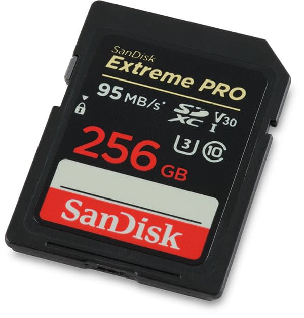 sandisk extreme switch