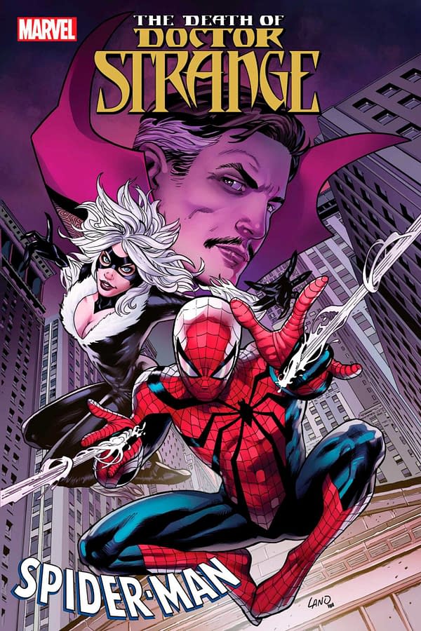 Cover image for Death of Doctor Strange: Spider-Man #1