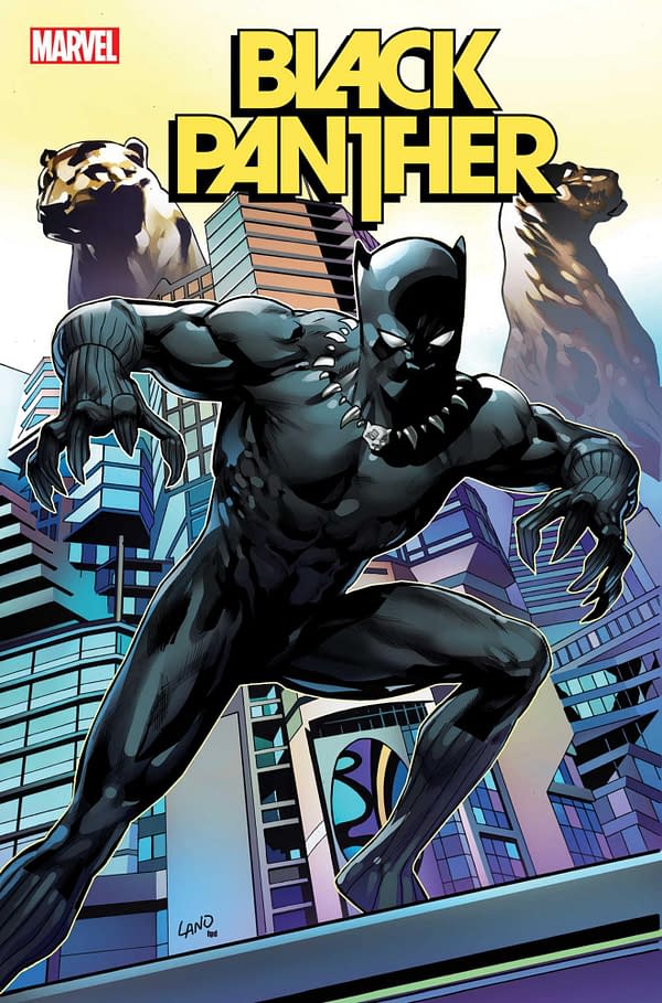 Cover image for BLACK PANTHER 5 LAND VARIANT