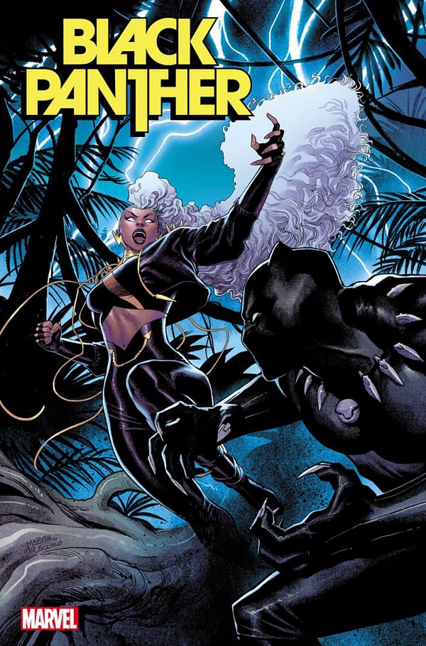 Cover image for BLACK PANTHER 6 COCCOLO VARIANT