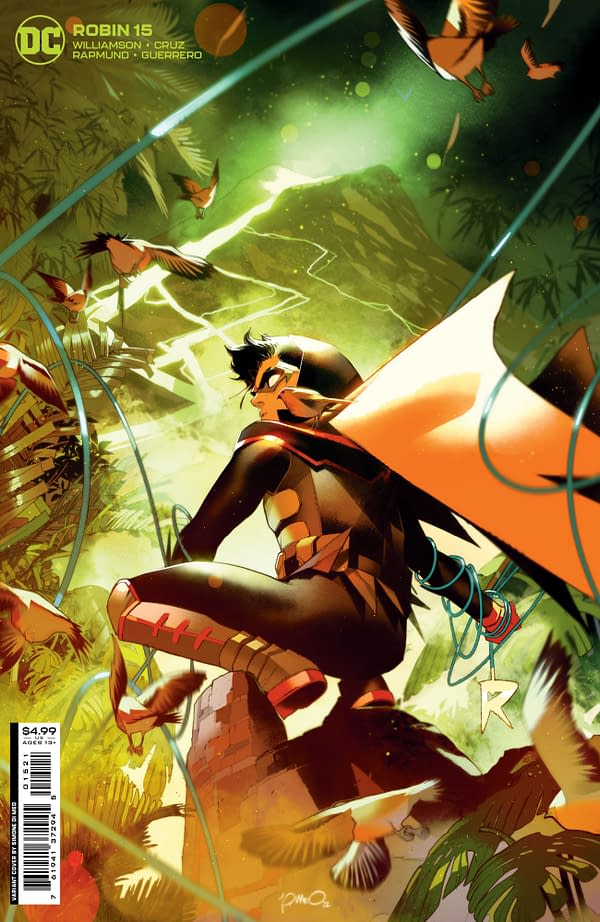 Cover image for Robin #15