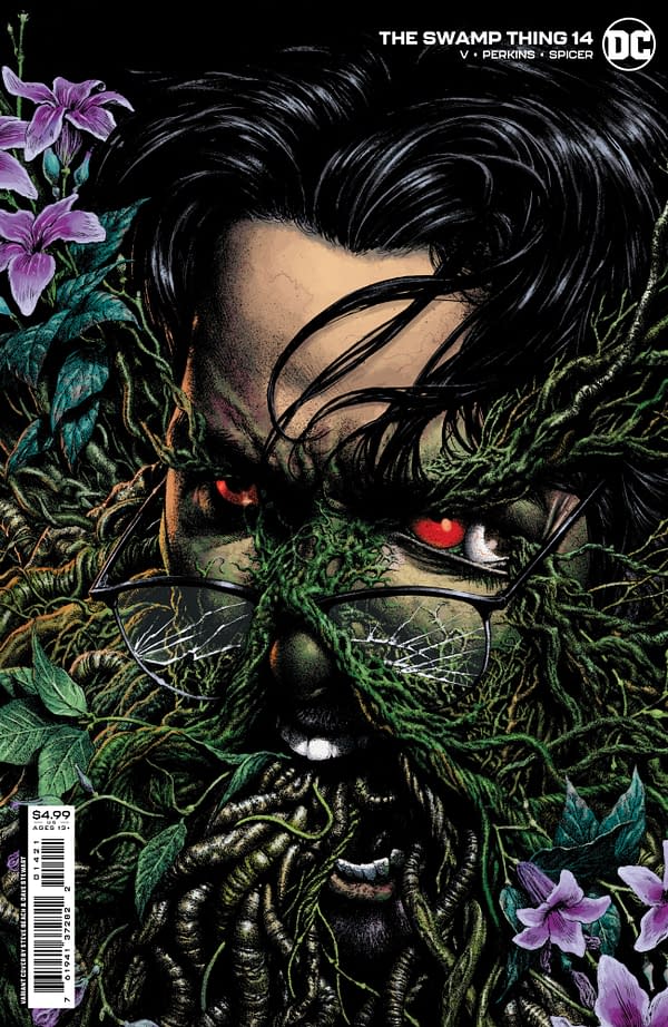 Cover image for Swamp Thing #14