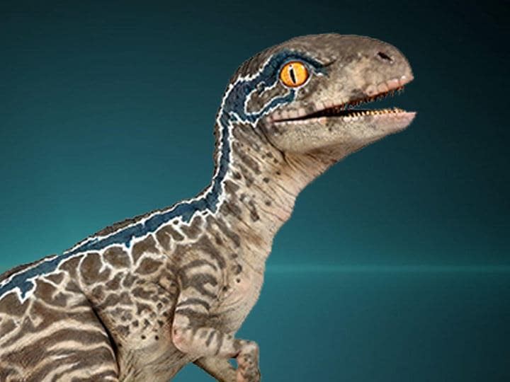 Jurassic World Fallen Kingdom S Adorable Baby Blue Statue Coming From Chronicle