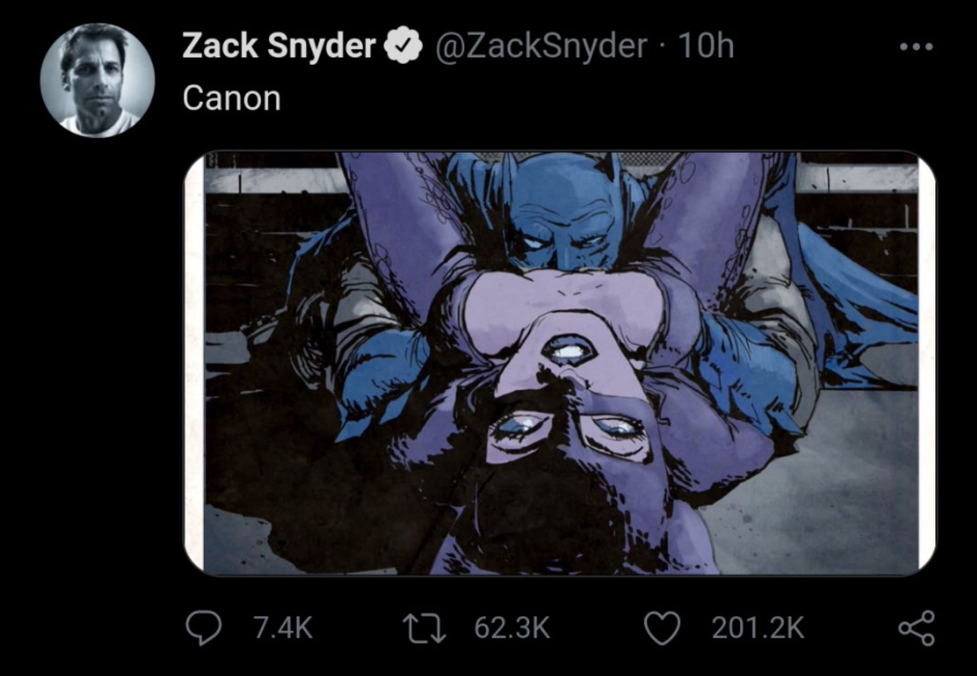 Zack snyder batman and catwoman sex scene