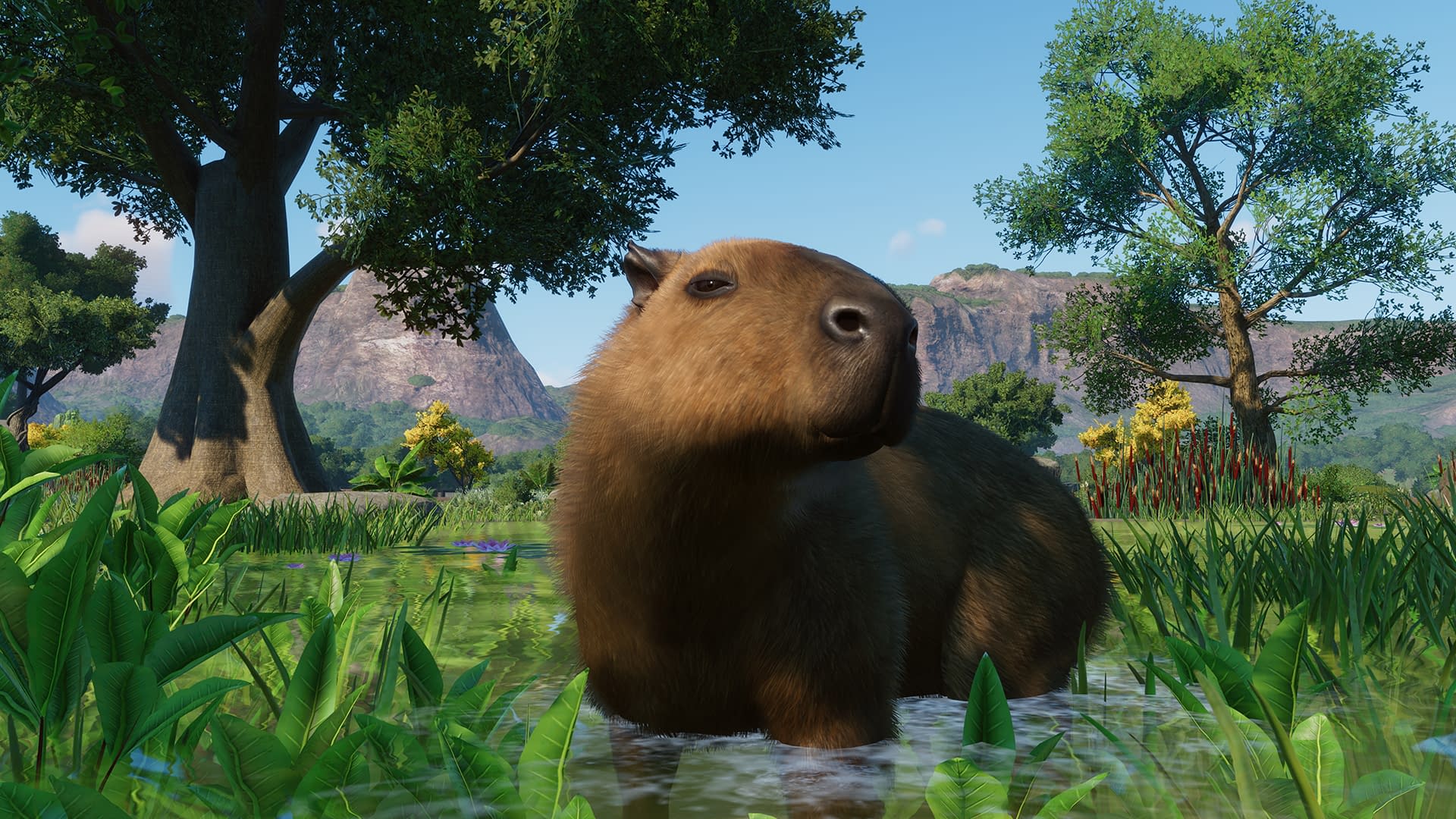 Planet zoo ps5. Planet Zoo капибара. Animal Planet игра. Планета Zoo игра. Planet Zoo: Wetlands animal Pack.