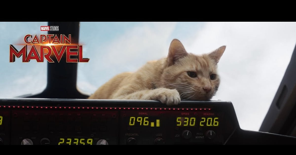 Goose Gets Her Own Captain Marvel Trailer, Plus the Top 10 Movie Cats