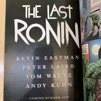 Eastman And Laird's TMNT: The Last Ronin Comic Will Be an "Elseworlds-Type Story Set Sometime In The Future"