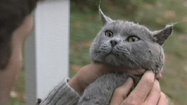 BC at 10: Entertainment News in a Future Gone Horribly Right