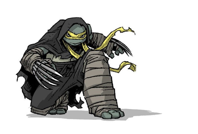 Sophie Campbell Shares Concept Art for Jennika, TMNT's New Female Turtle