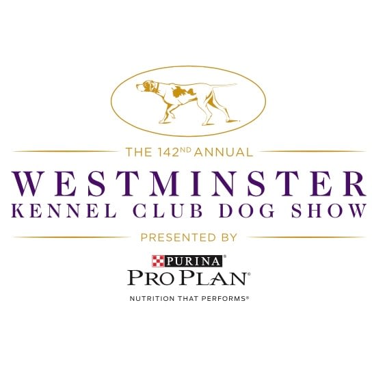 [2018 Westminster Dog Show] TV Spotlight Terrier Group