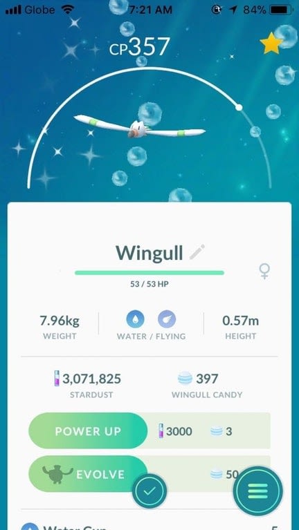 wingull pokemon go coords