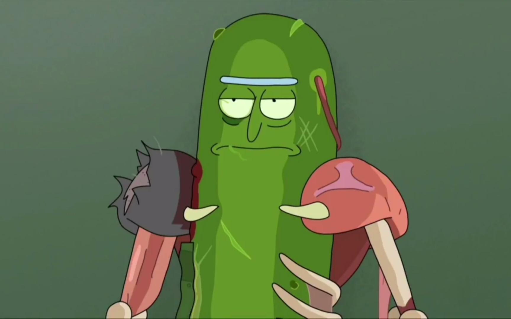 rick and morty pickle rick cushion