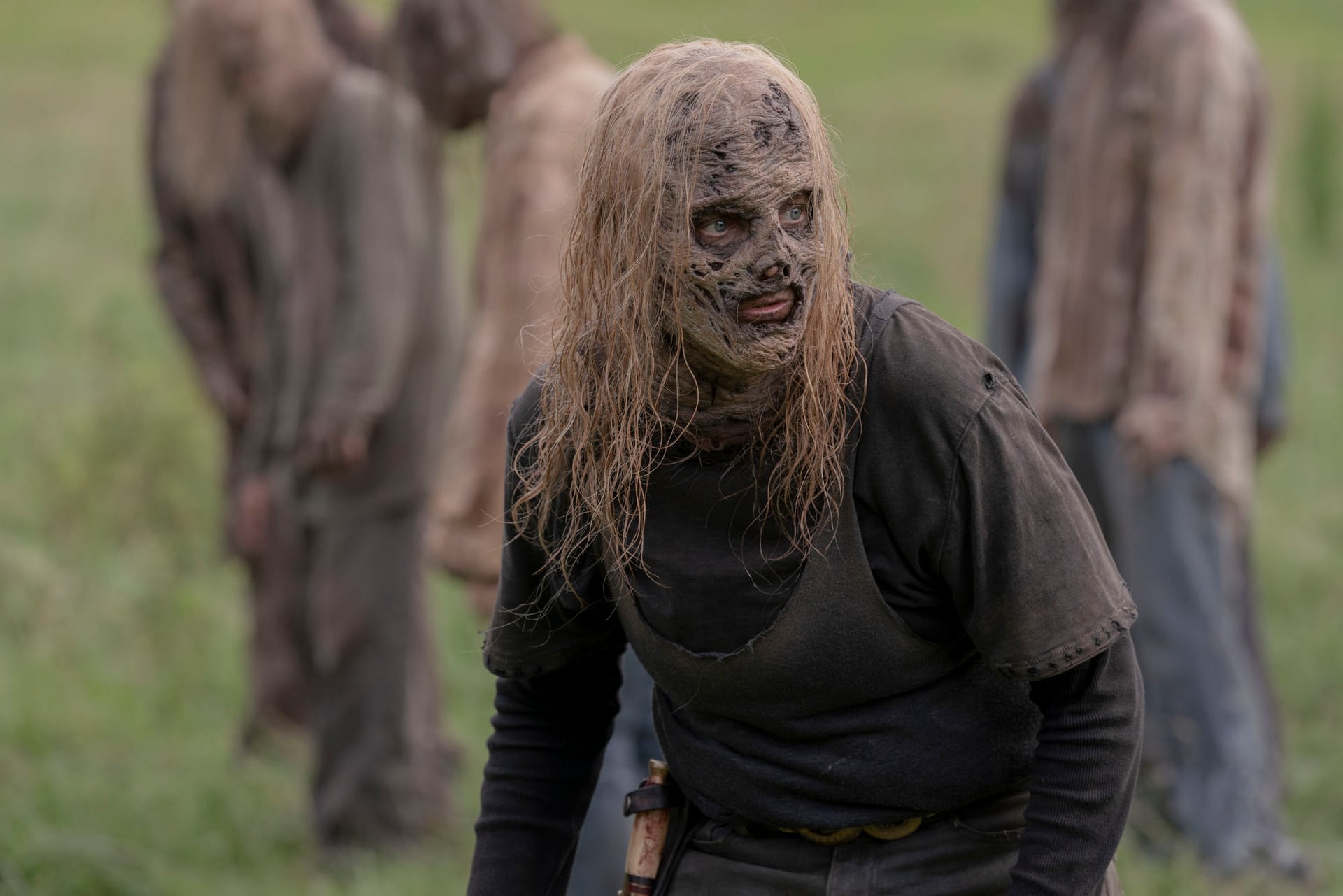 the walking dead