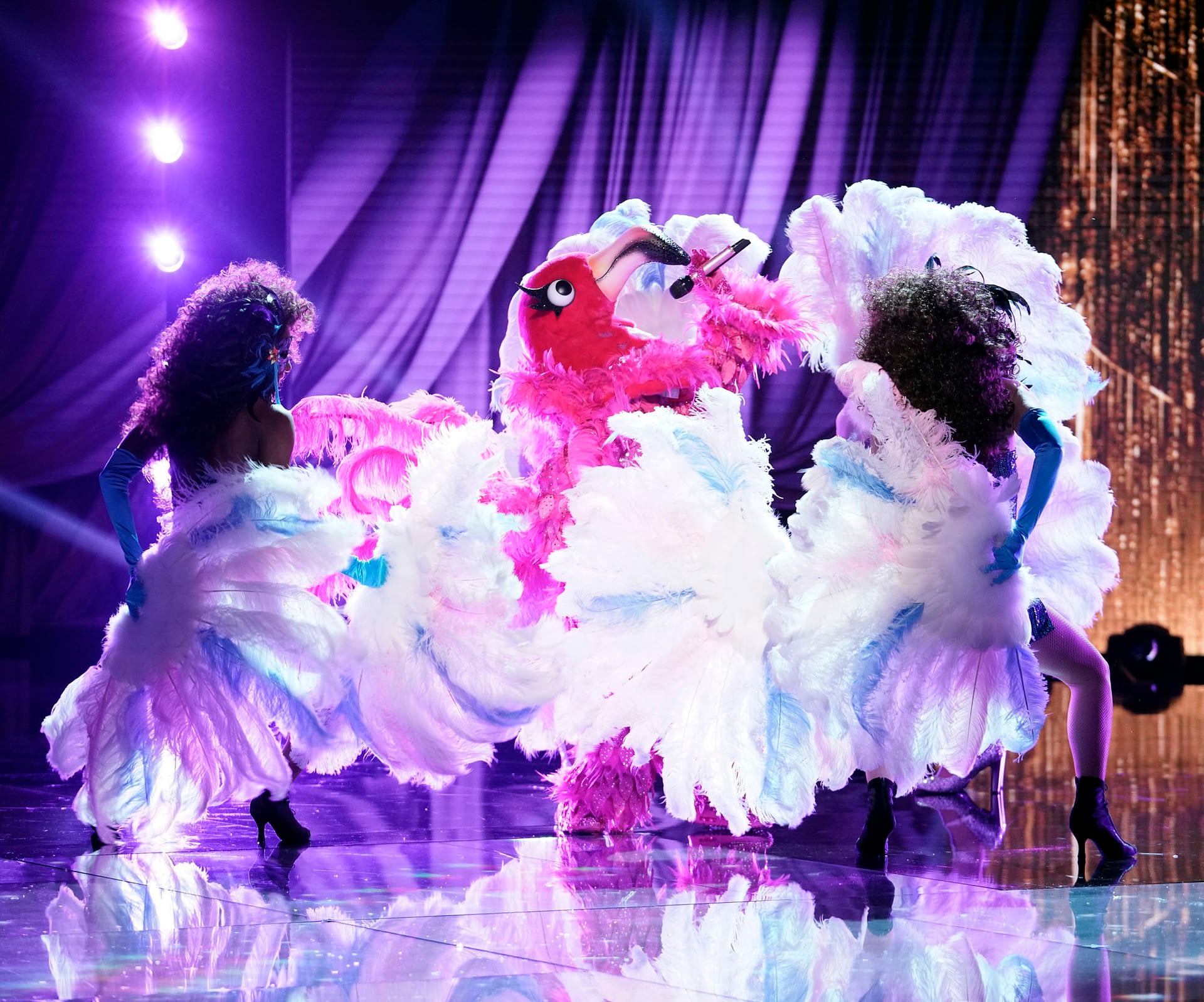 the masked singer